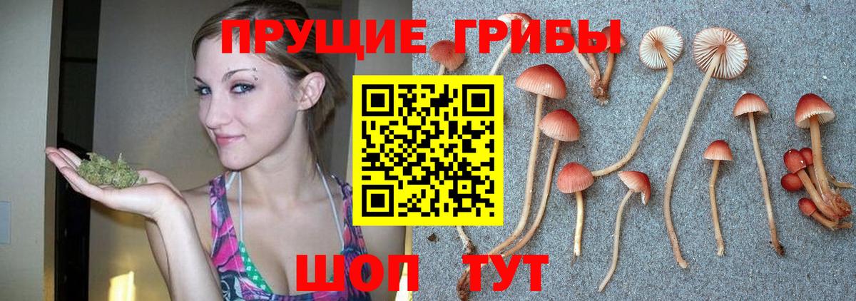 Дедовск  Псилоцибиновые грибы MAGIC MUSHROOMS  Вход с VPN  Псилоцибиновые грибы Psilocybine cubensis 